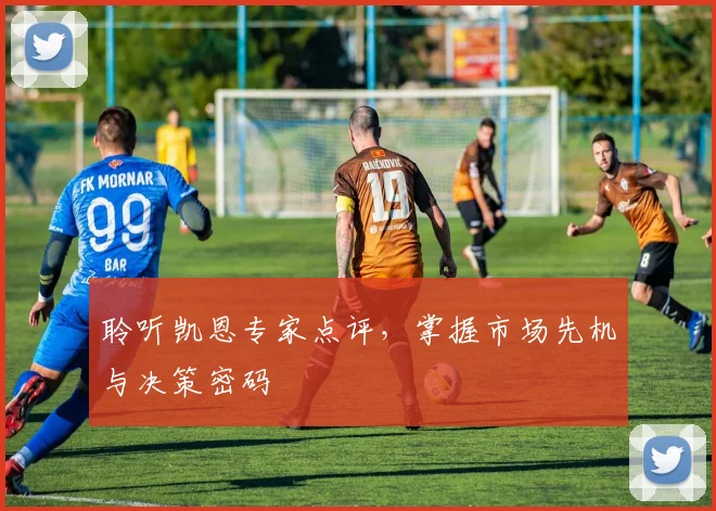 聆听凯恩专家点评，掌握市场先机与决策密码