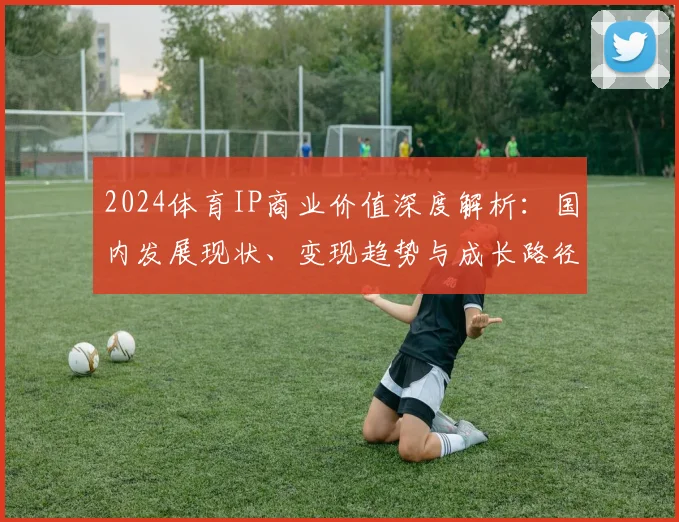 2024体育IP商业价值深度解析:国内发展现状、变现趋势与成长路径全指南
